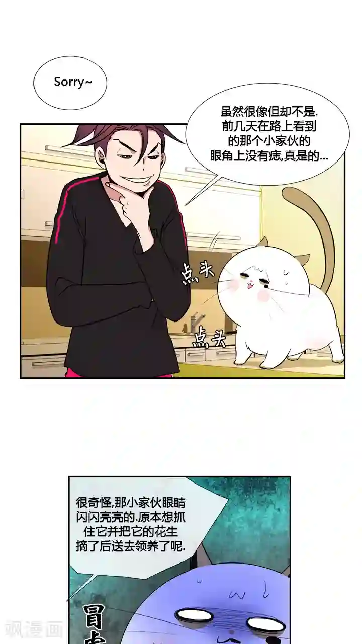 ICE-Cold要员的捡猫事件第31话