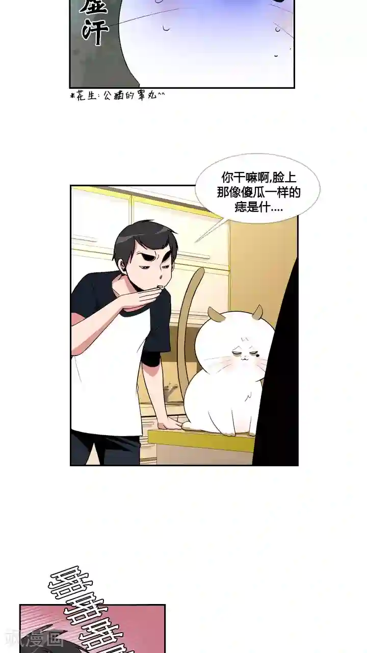ICE-Cold要员的捡猫事件第31话