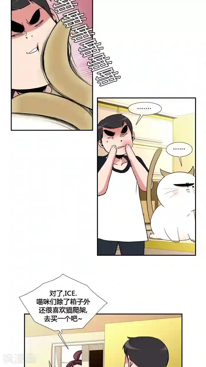 ICE-Cold要员的捡猫事件第31话