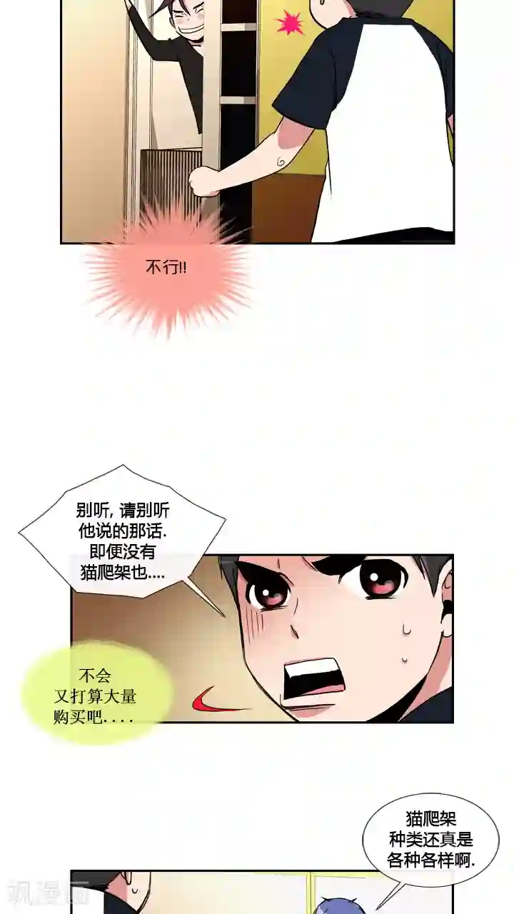 ICE-Cold要员的捡猫事件第31话