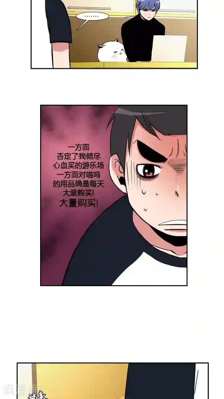 ICE-Cold要员的捡猫事件第31话