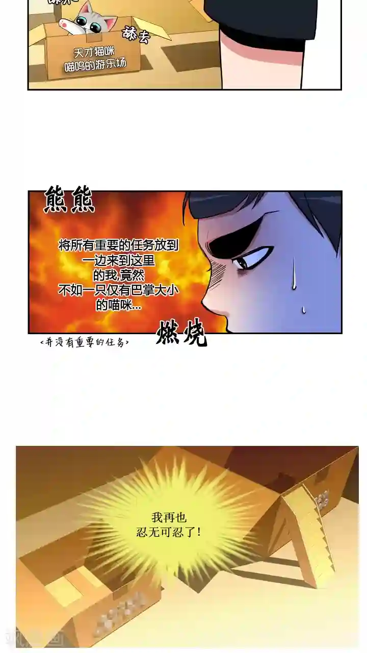 ICE-Cold要员的捡猫事件第31话