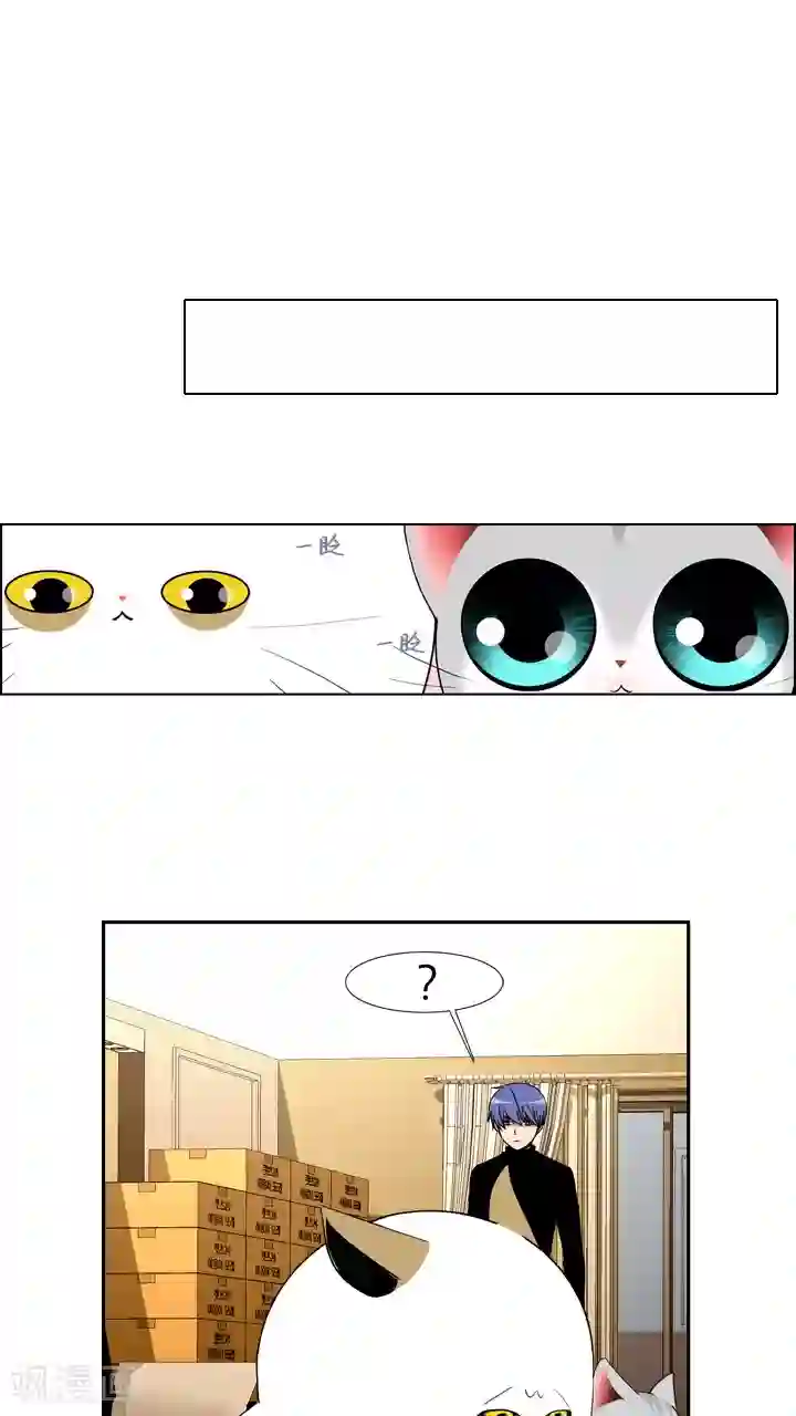 ICE-Cold要员的捡猫事件第31话