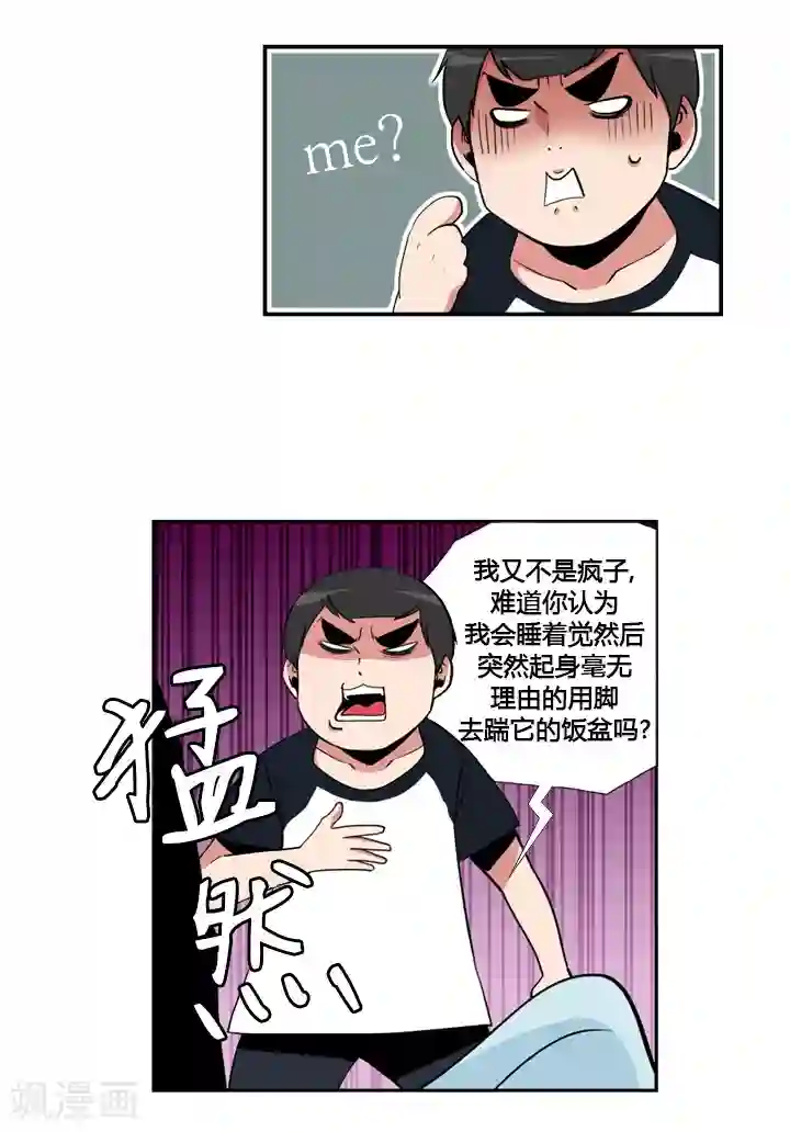 ICE-Cold要员的捡猫事件第32话