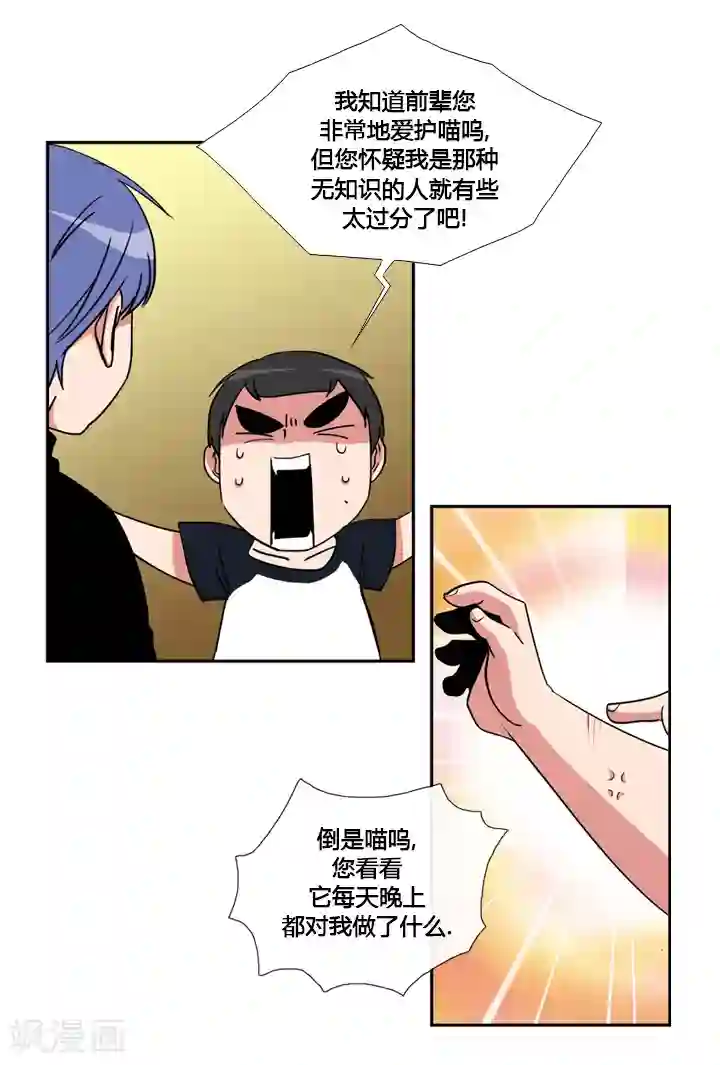 ICE-Cold要员的捡猫事件第32话