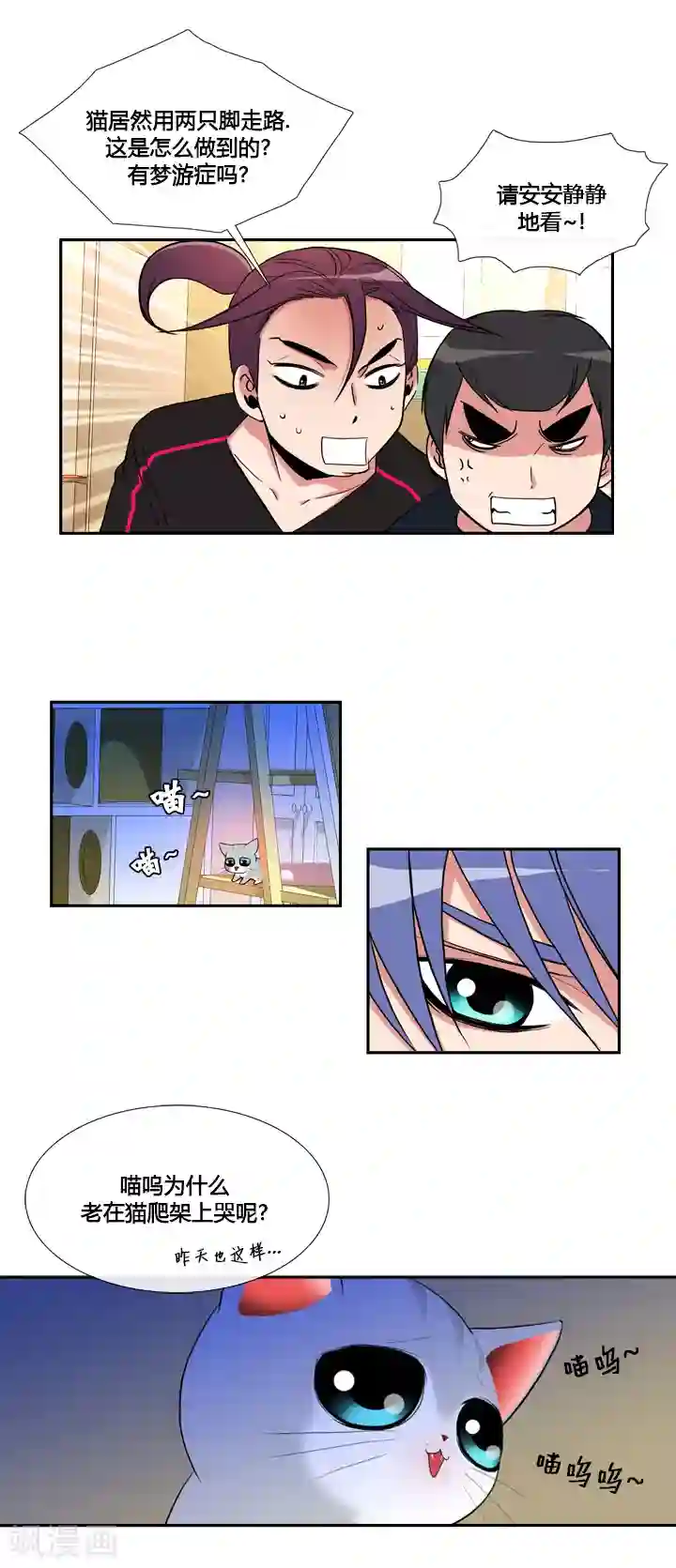 ICE-Cold要员的捡猫事件第33话