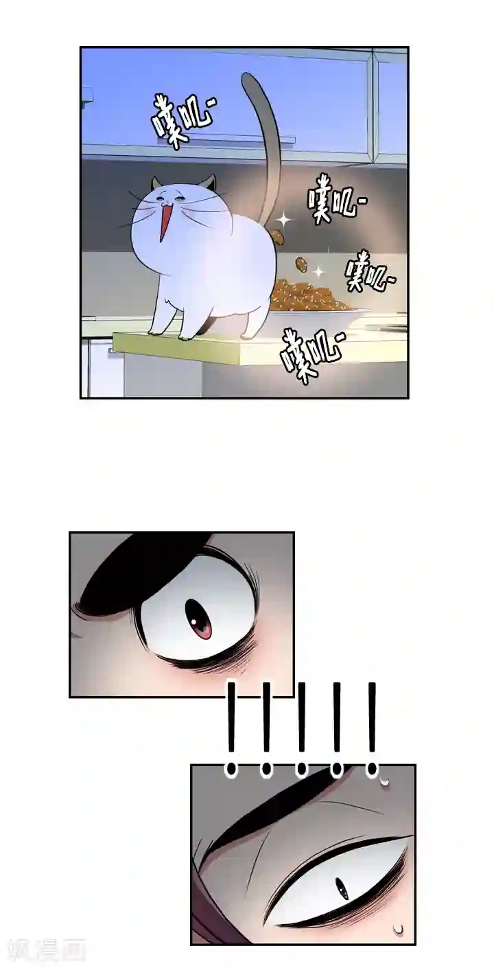 ICE-Cold要员的捡猫事件第35话