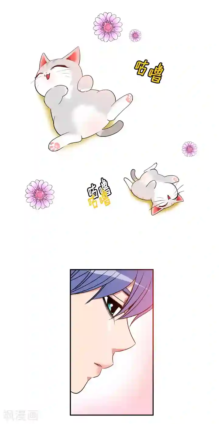 ICE-Cold要员的捡猫事件第35话