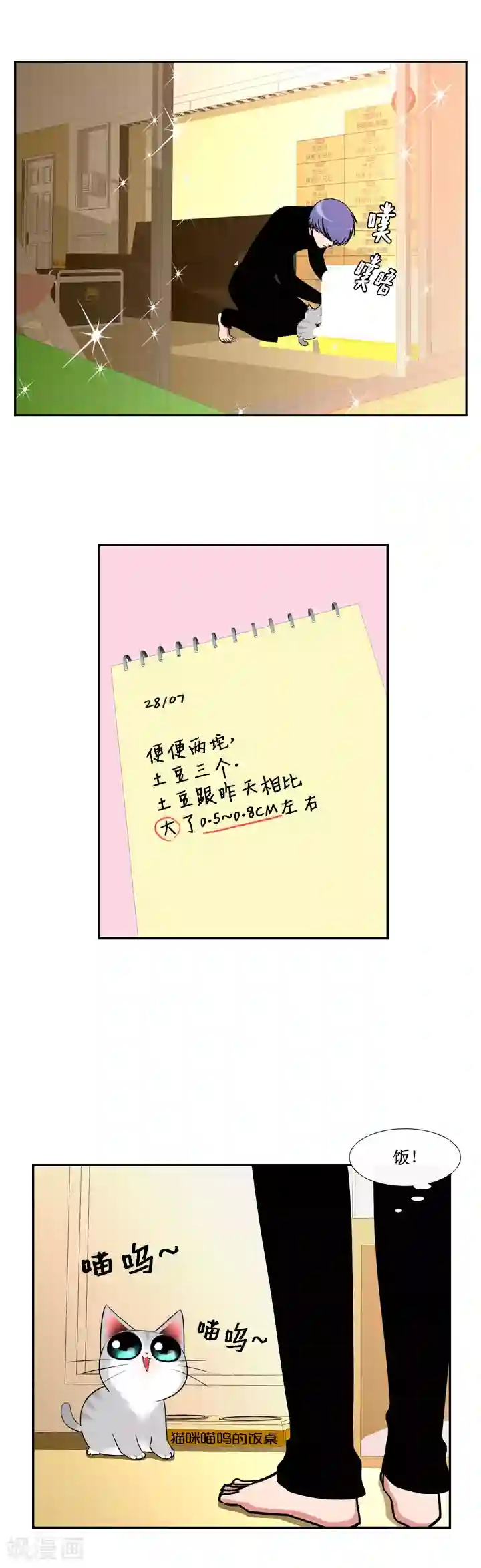 ICE-Cold要员的捡猫事件第36话