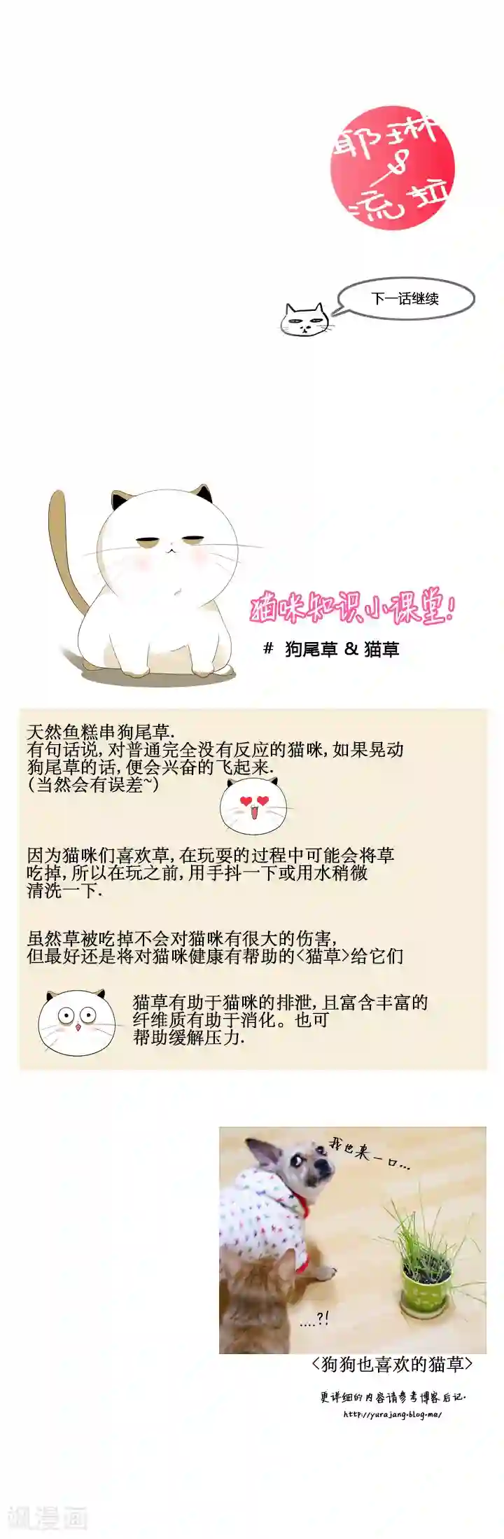 ICE-Cold要员的捡猫事件第38话