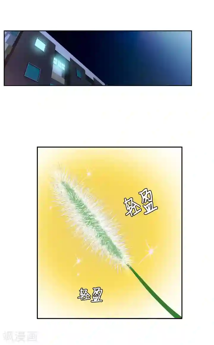 ICE-Cold要员的捡猫事件第38话