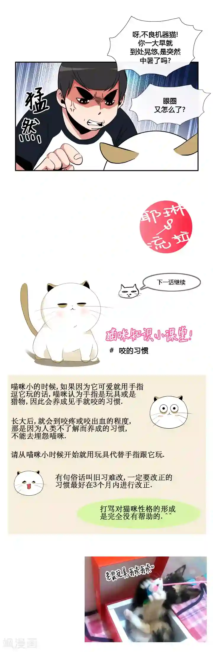 ICE-Cold要员的捡猫事件第40话