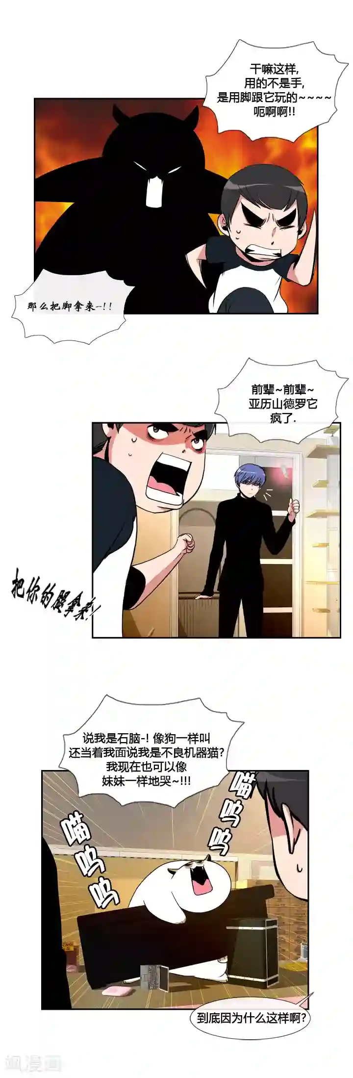 ICE-Cold要员的捡猫事件第41话