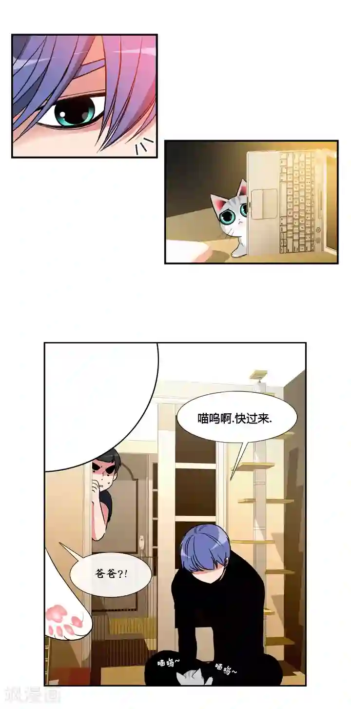 ICE-Cold要员的捡猫事件第41话