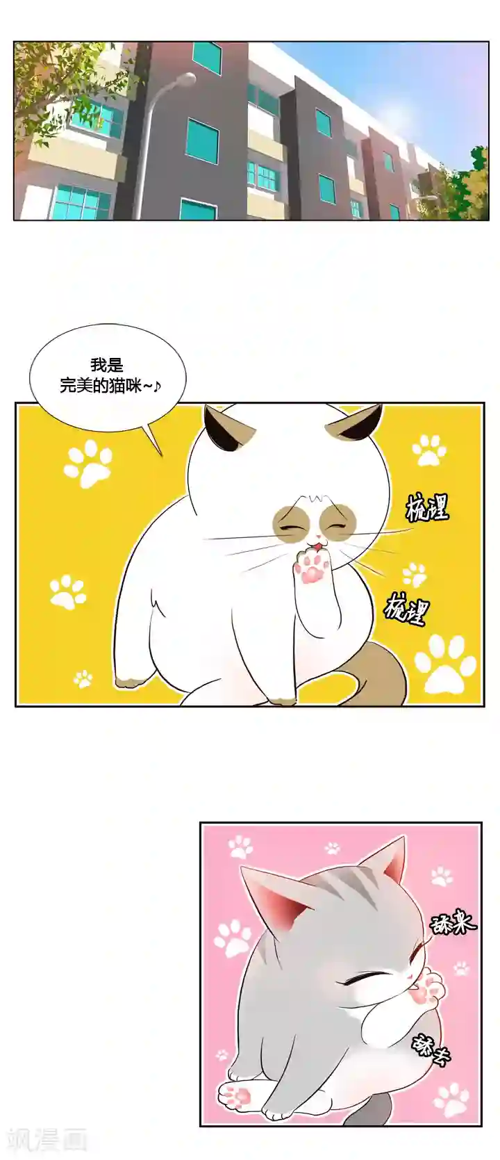 ICE-Cold要员的捡猫事件第41话