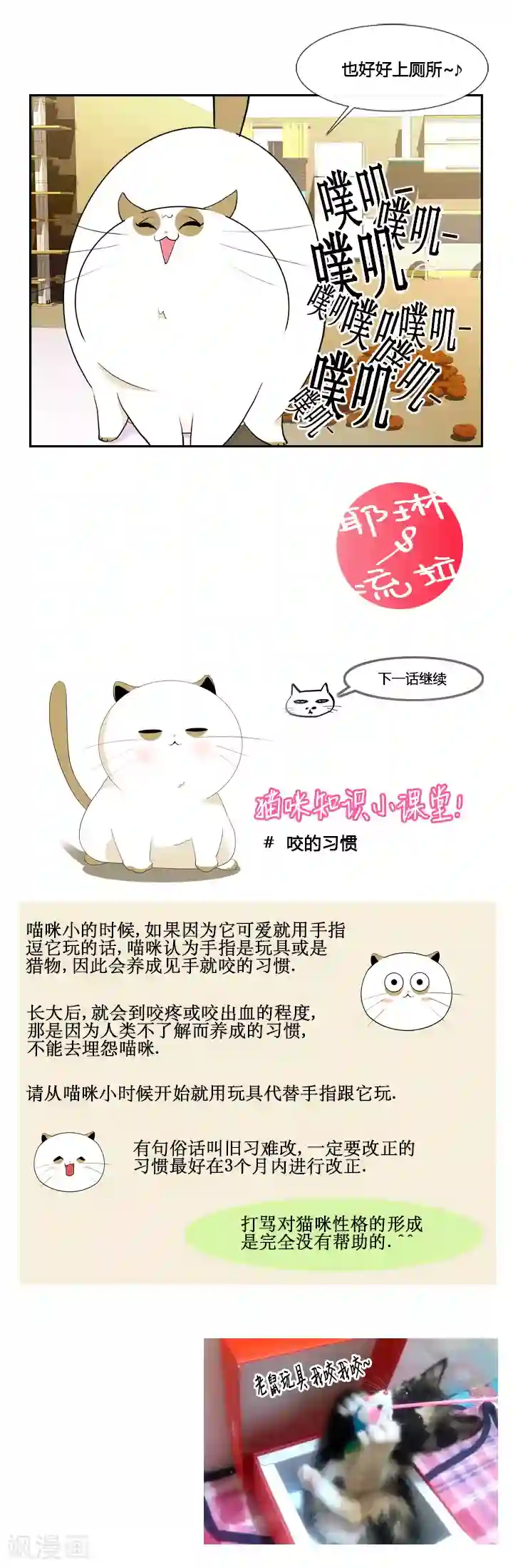 ICE-Cold要员的捡猫事件第41话