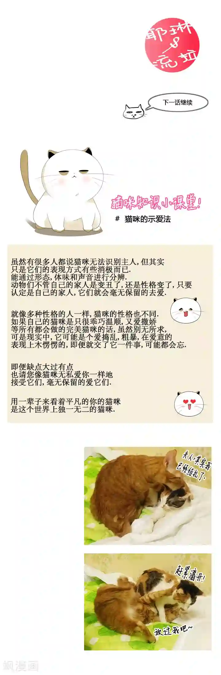 ICE-Cold要员的捡猫事件第42话