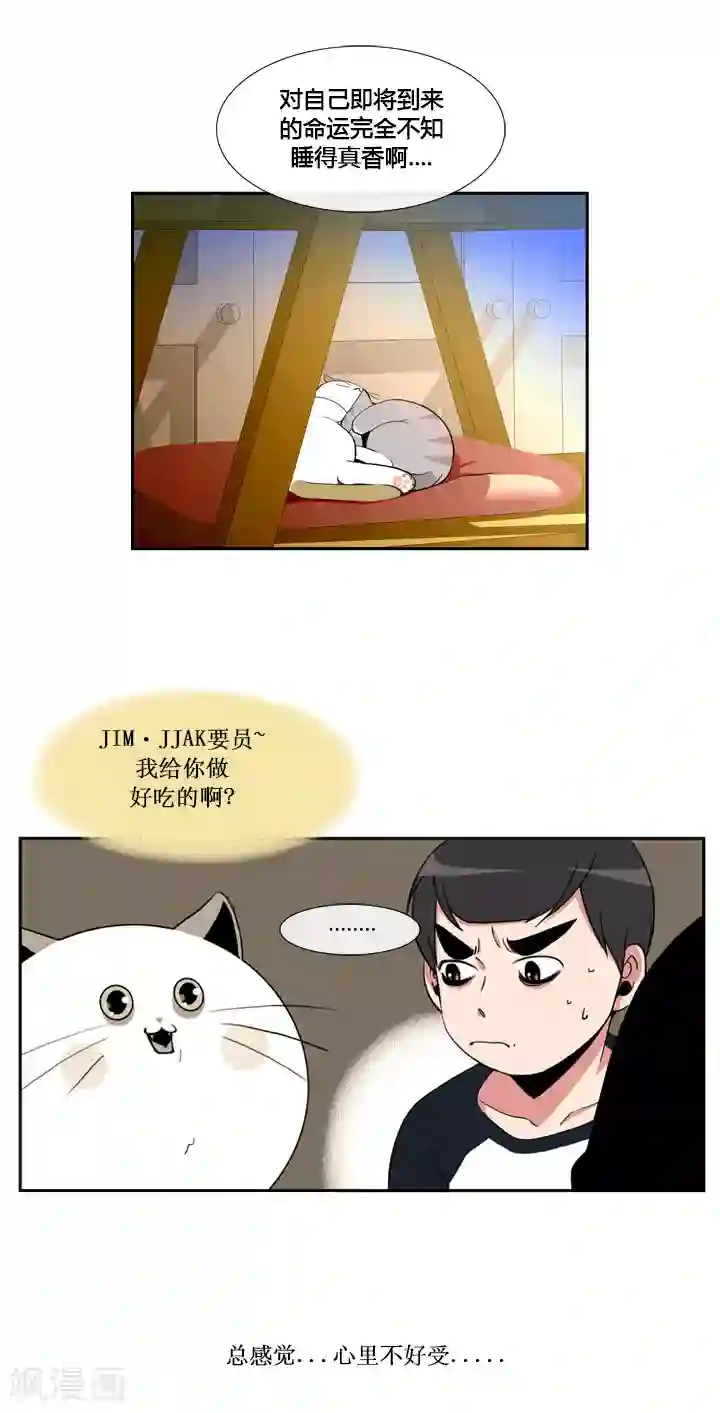 ICE-Cold要员的捡猫事件第42话