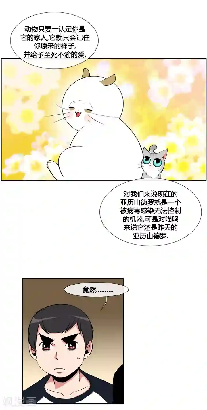 ICE-Cold要员的捡猫事件第43话