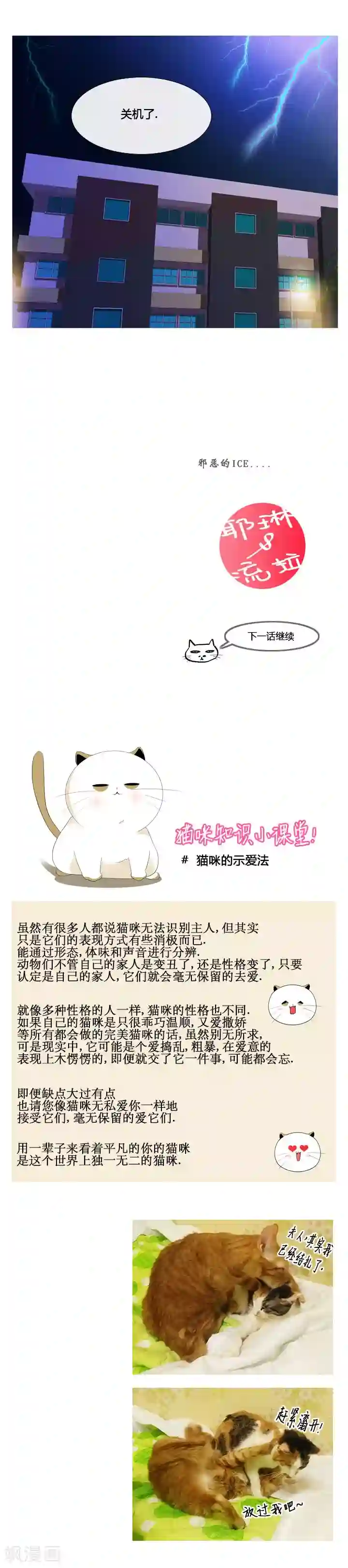 ICE-Cold要员的捡猫事件第43话
