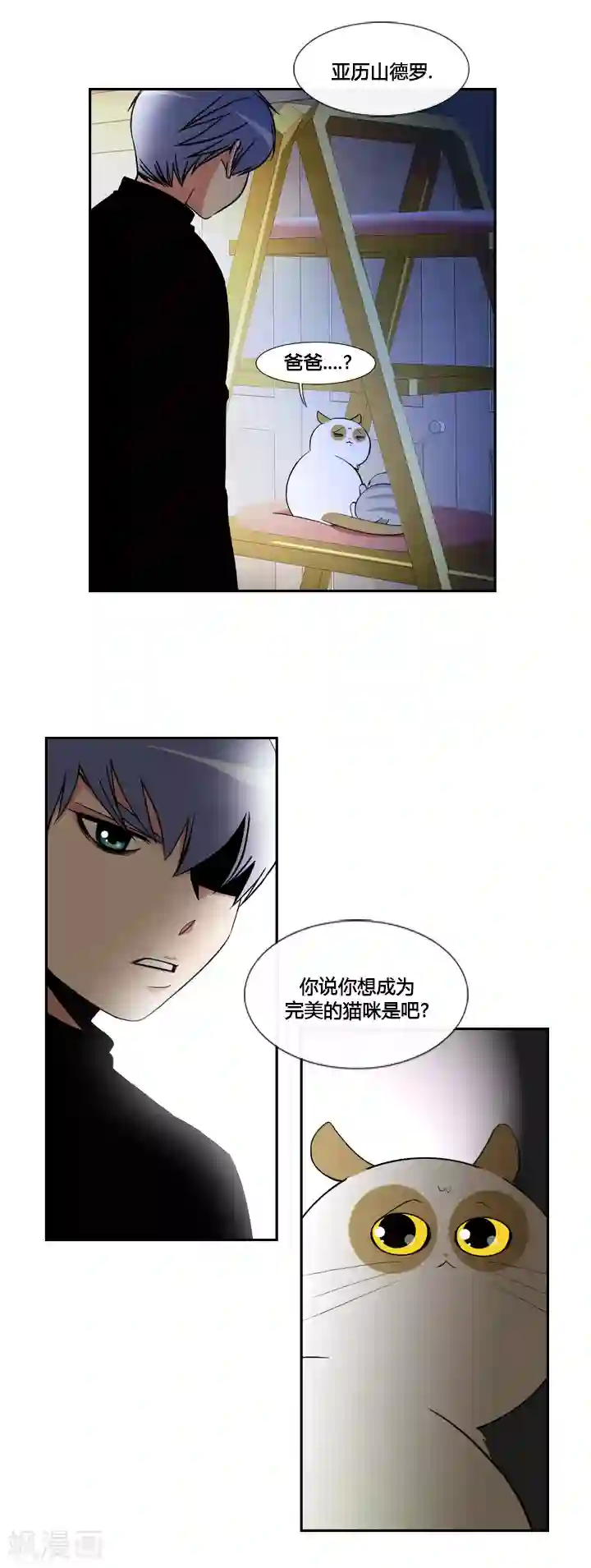 ICE-Cold要员的捡猫事件第43话