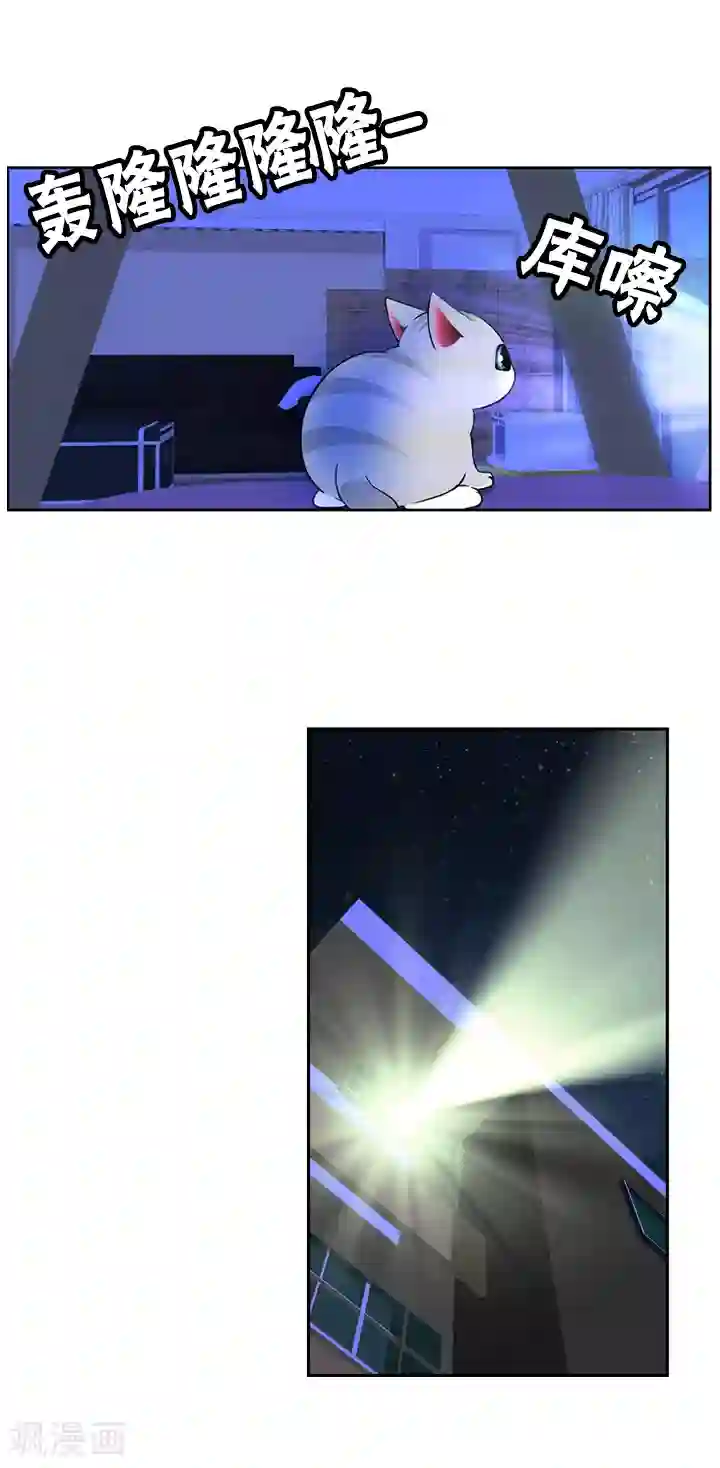 ICE-Cold要员的捡猫事件第43话
