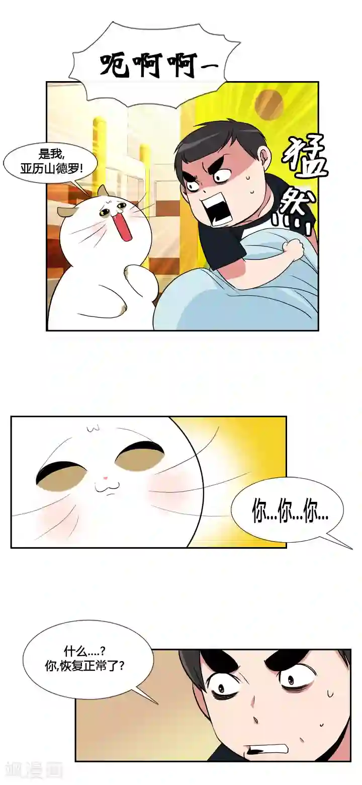 ICE-Cold要员的捡猫事件第43话