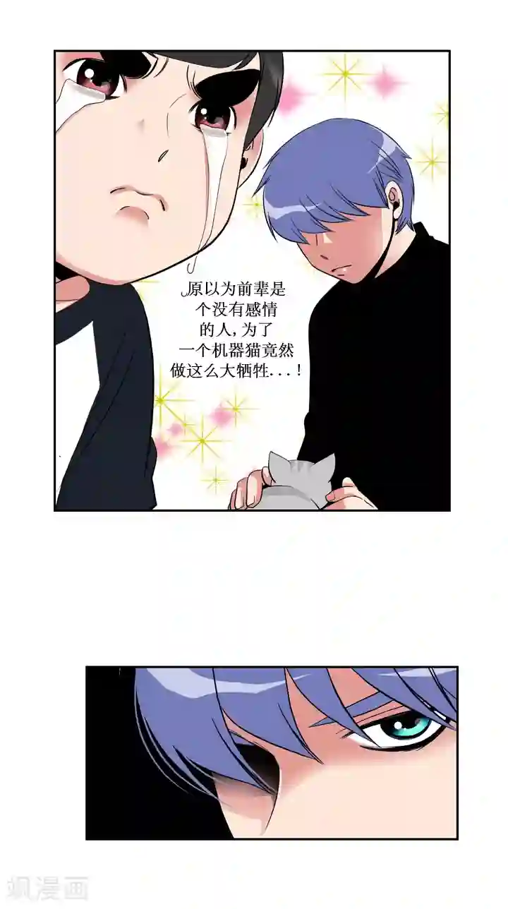 ICE-Cold要员的捡猫事件第43话