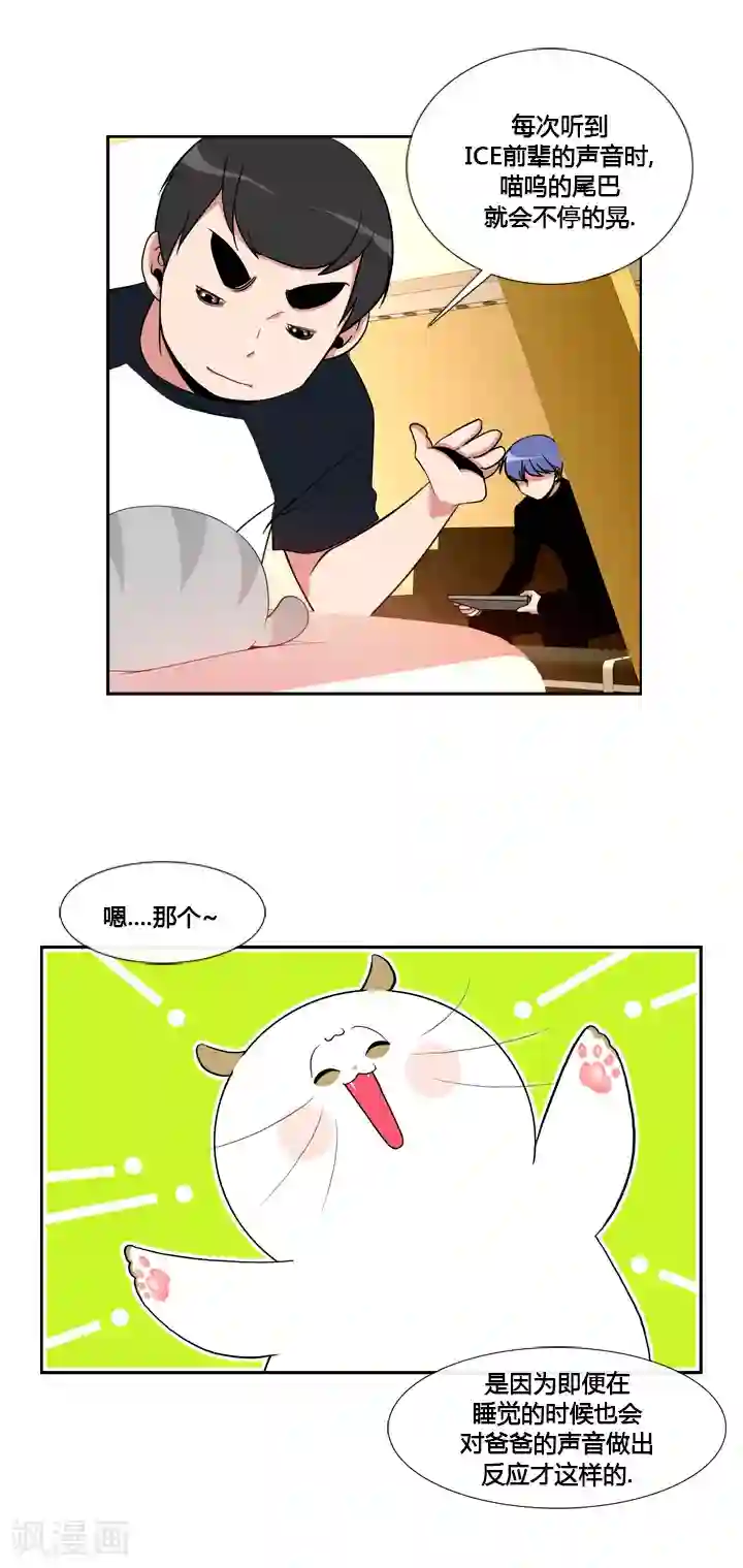 ICE-Cold要员的捡猫事件第44话