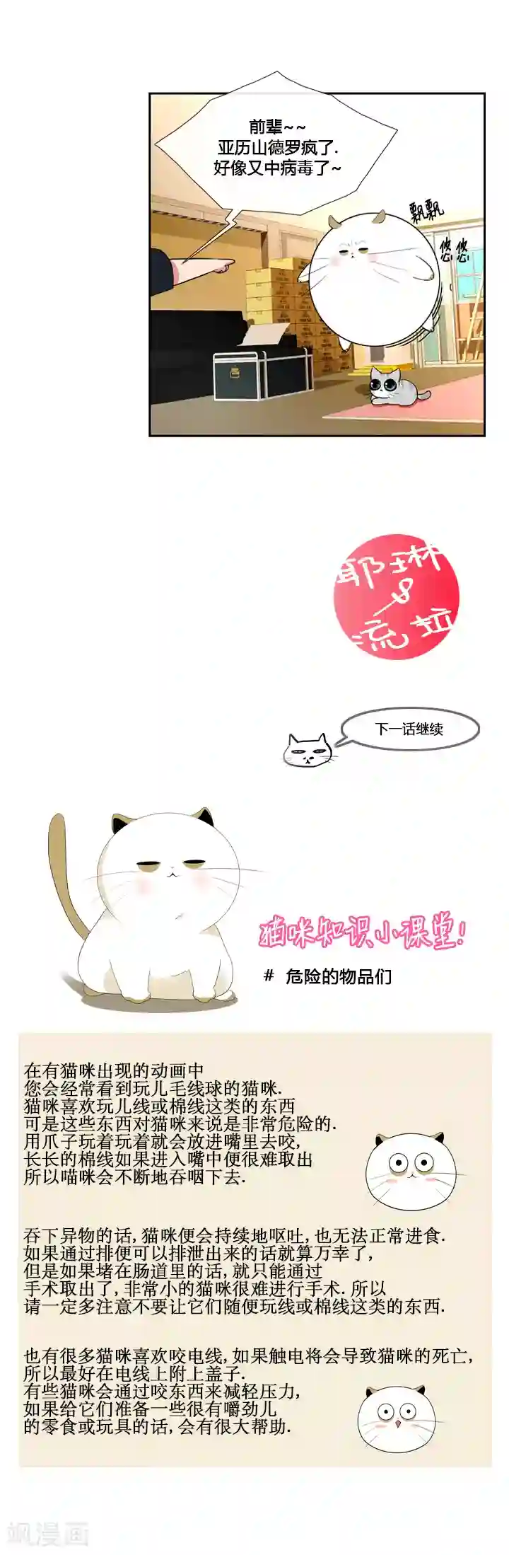 ICE-Cold要员的捡猫事件第44话