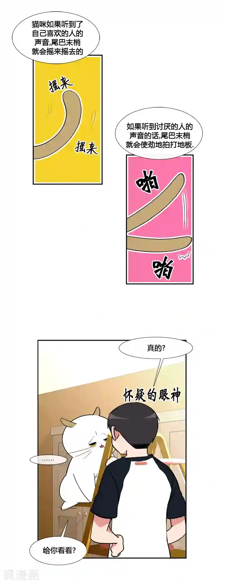 ICE-Cold要员的捡猫事件第44话