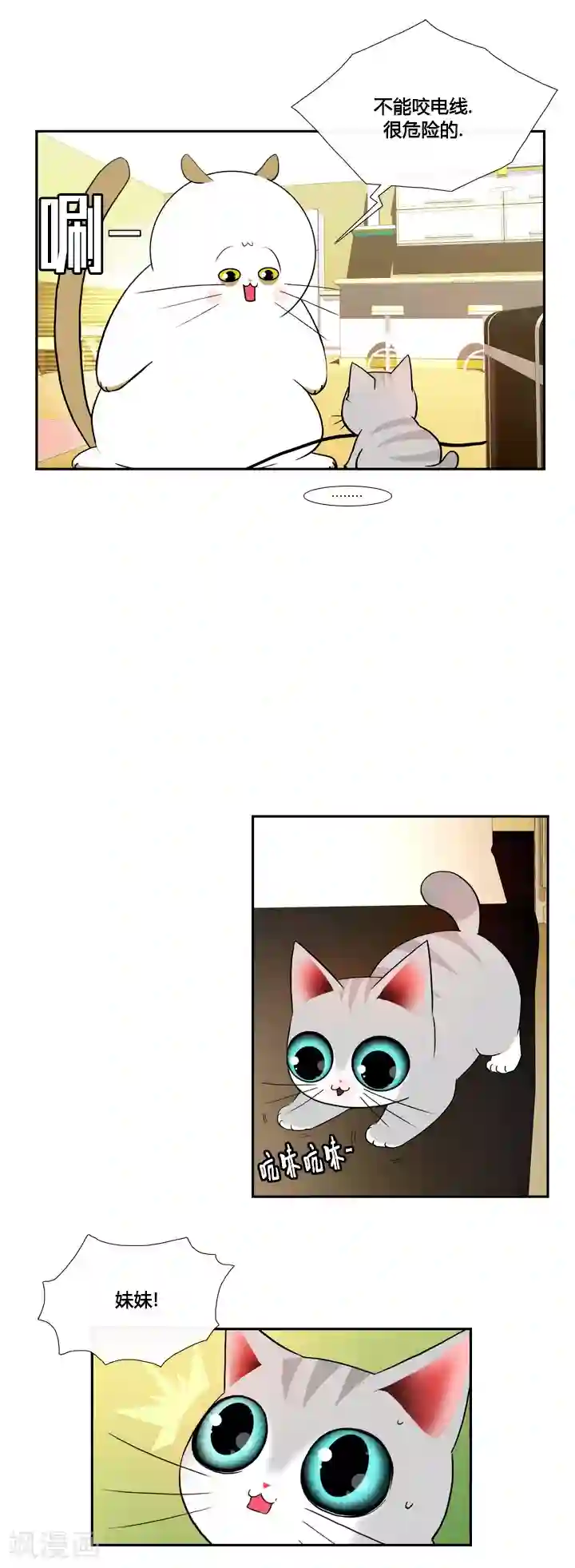 ICE-Cold要员的捡猫事件第44话