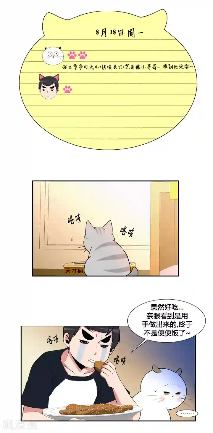 ICE-Cold要员的捡猫事件第45话