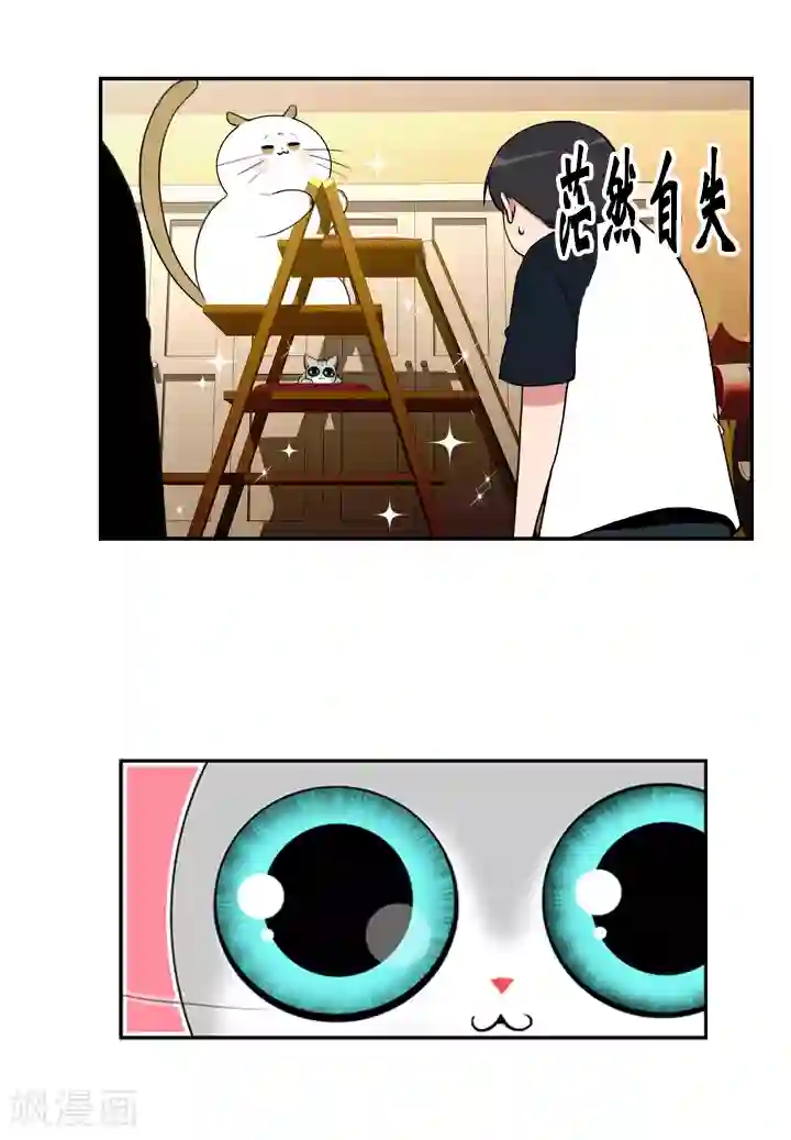 ICE-Cold要员的捡猫事件第45话