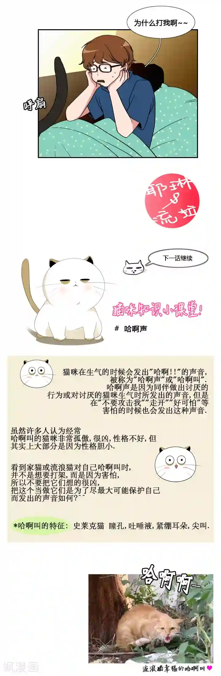 ICE-Cold要员的捡猫事件第46话