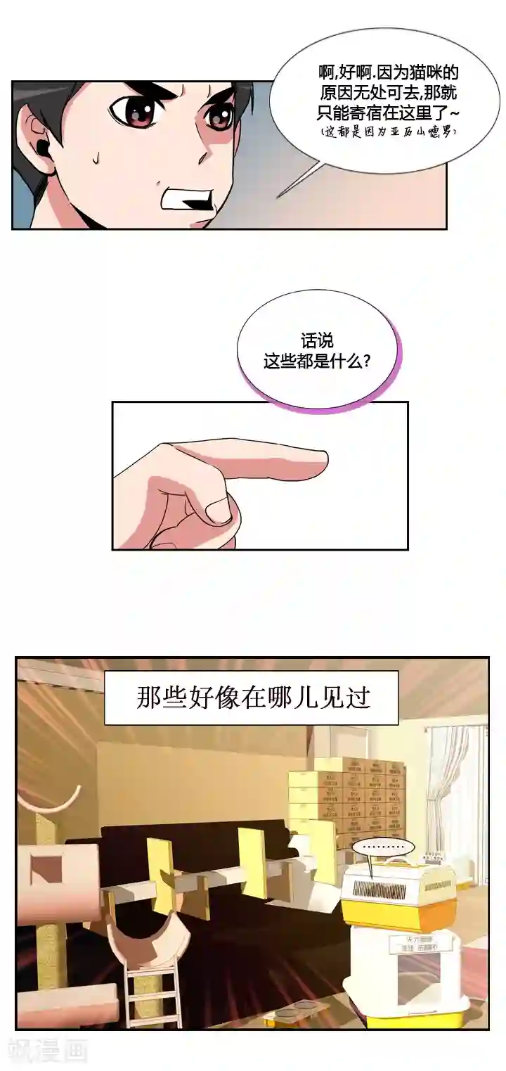 ICE-Cold要员的捡猫事件第47话