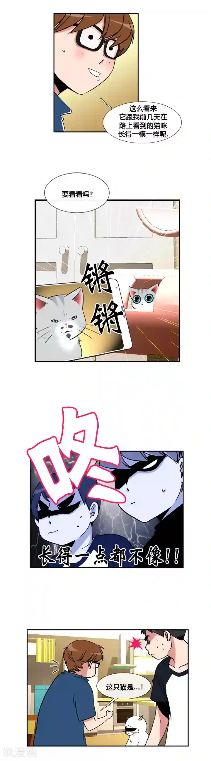 ICE-Cold要员的捡猫事件第47话