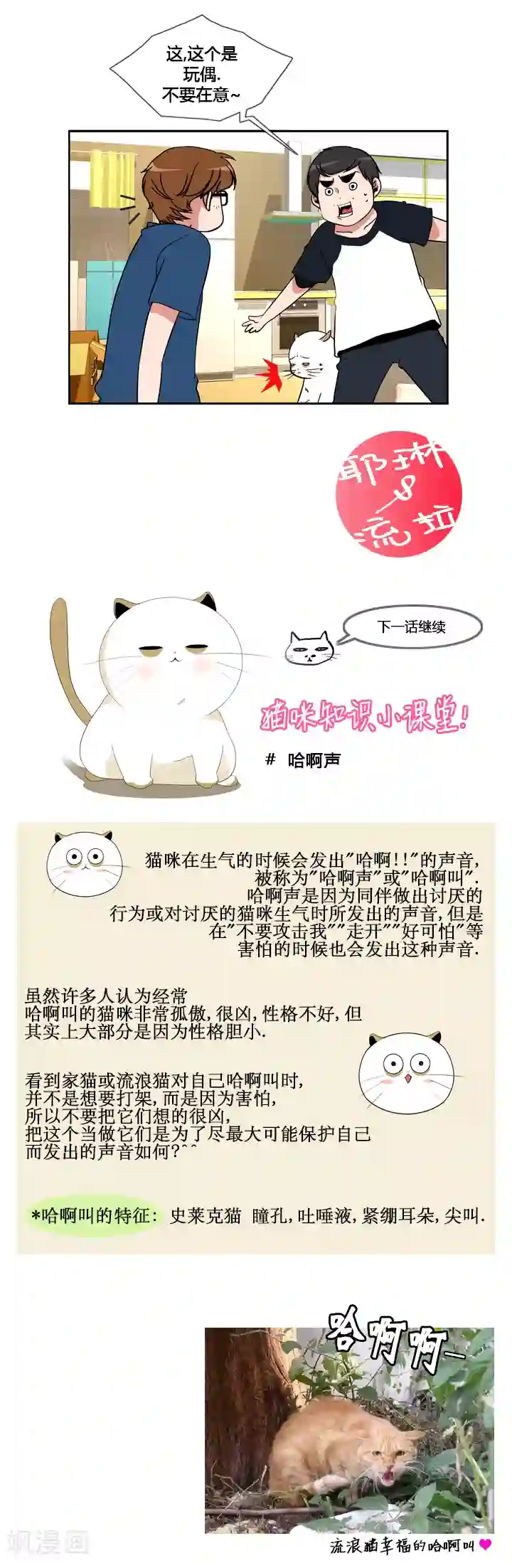 ICE-Cold要员的捡猫事件第47话