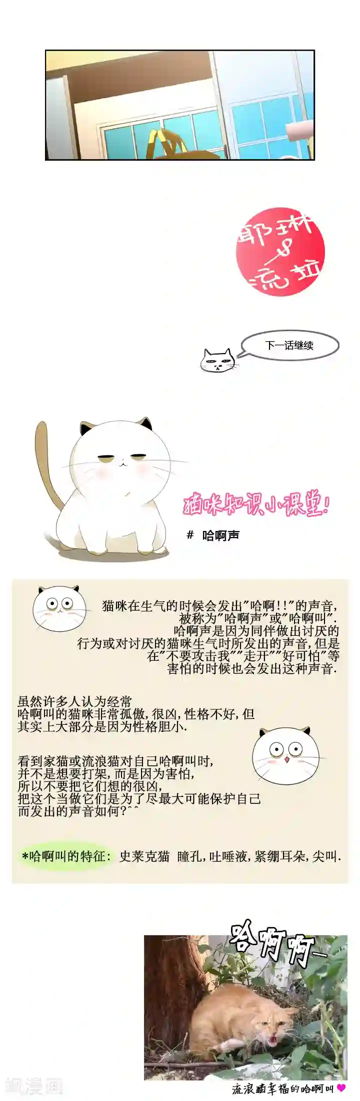 ICE-Cold要员的捡猫事件第48话