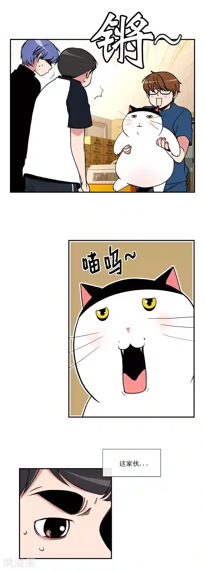 ICE-Cold要员的捡猫事件第48话