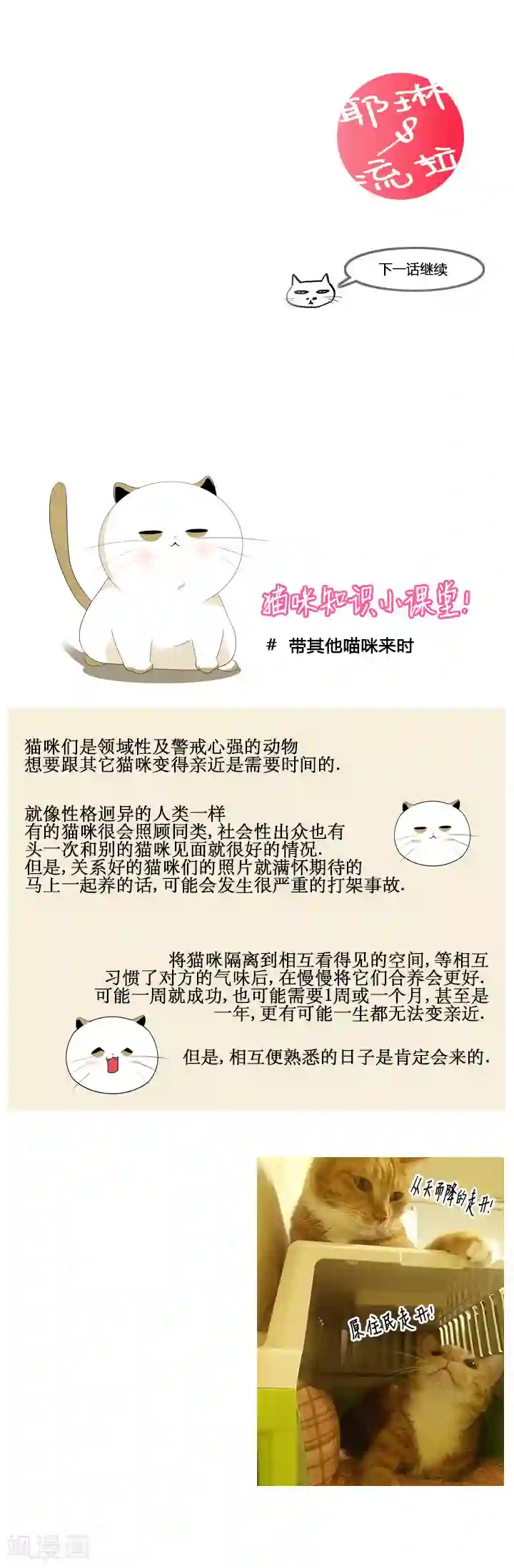 ICE-Cold要员的捡猫事件第49话