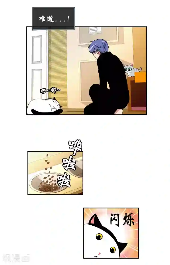 ICE-Cold要员的捡猫事件第49话