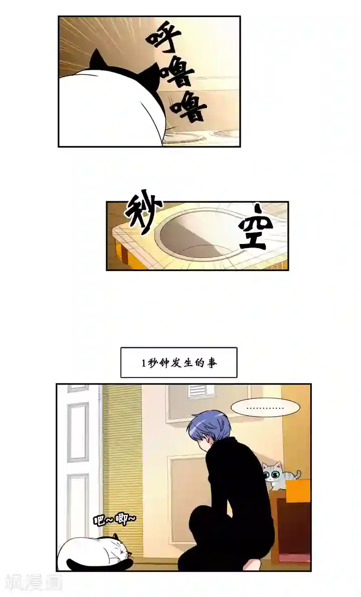 ICE-Cold要员的捡猫事件第49话