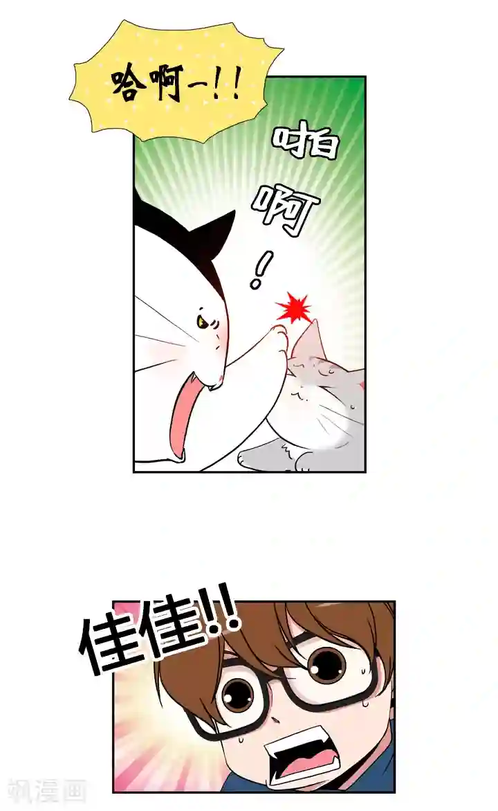 ICE-Cold要员的捡猫事件第50话