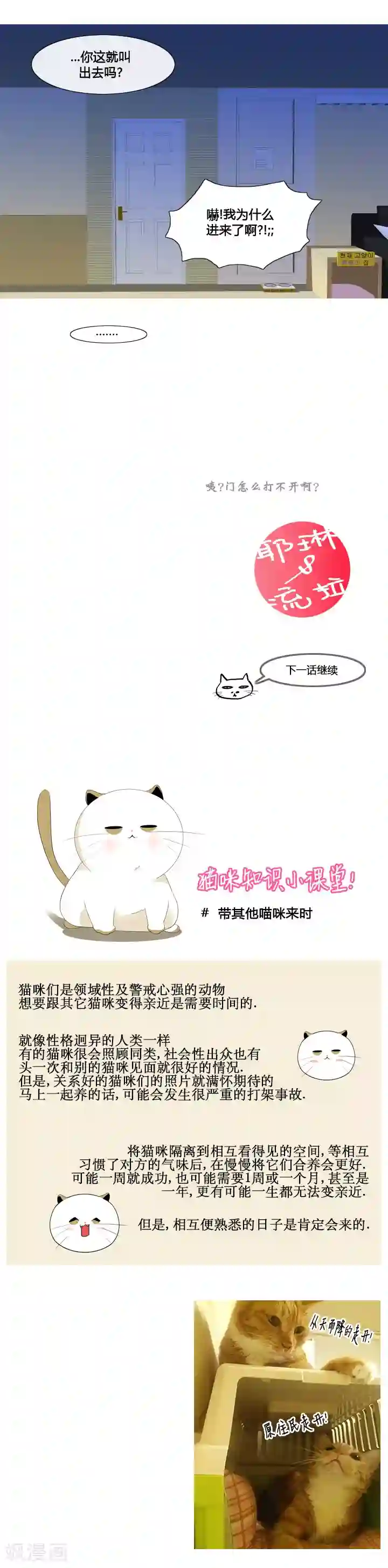 ICE-Cold要员的捡猫事件第50话
