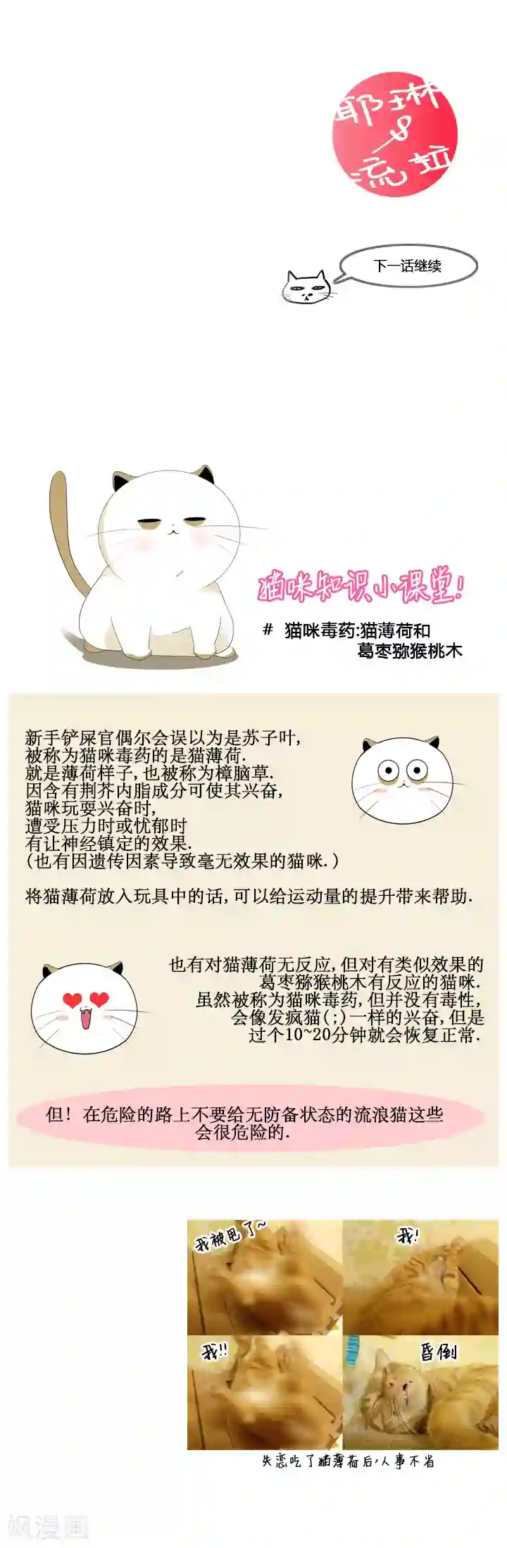 ICE-Cold要员的捡猫事件第51话