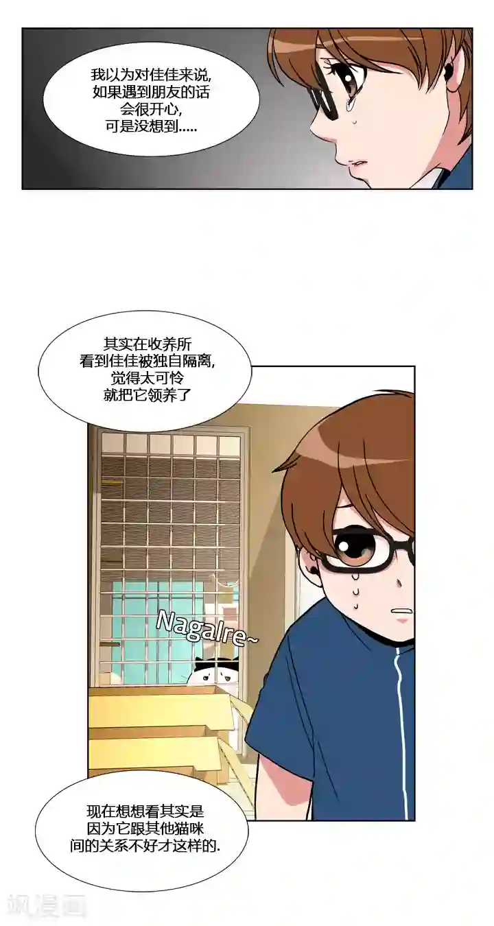 ICE-Cold要员的捡猫事件第52话