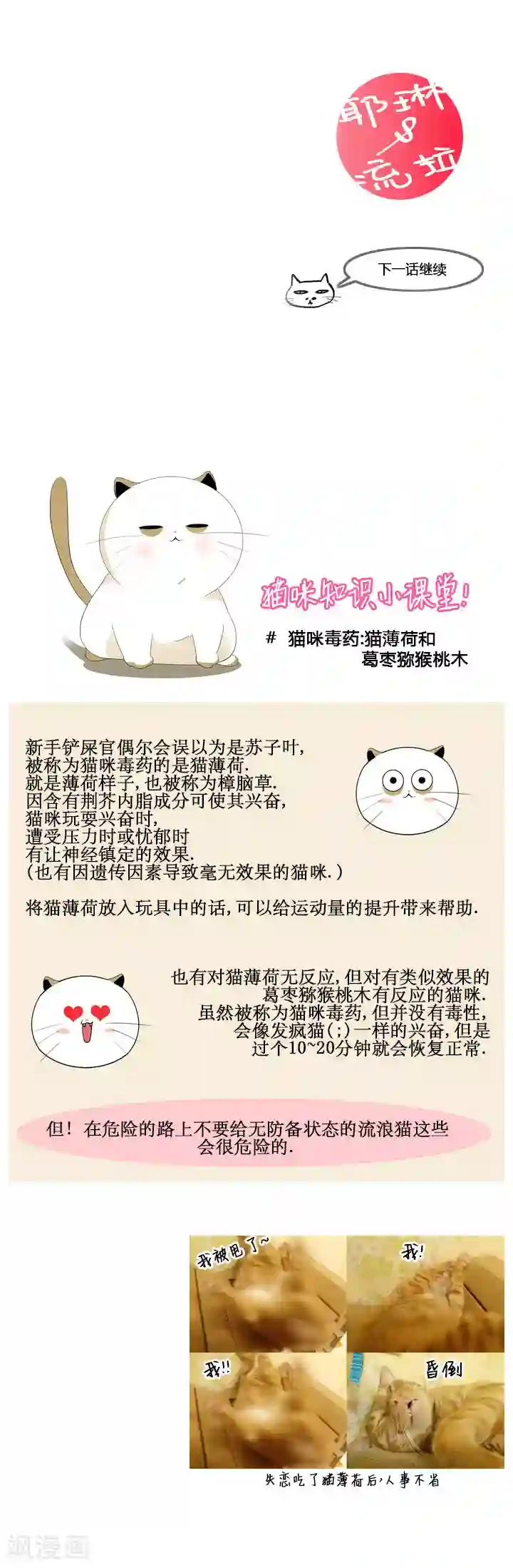 ICE-Cold要员的捡猫事件第53话