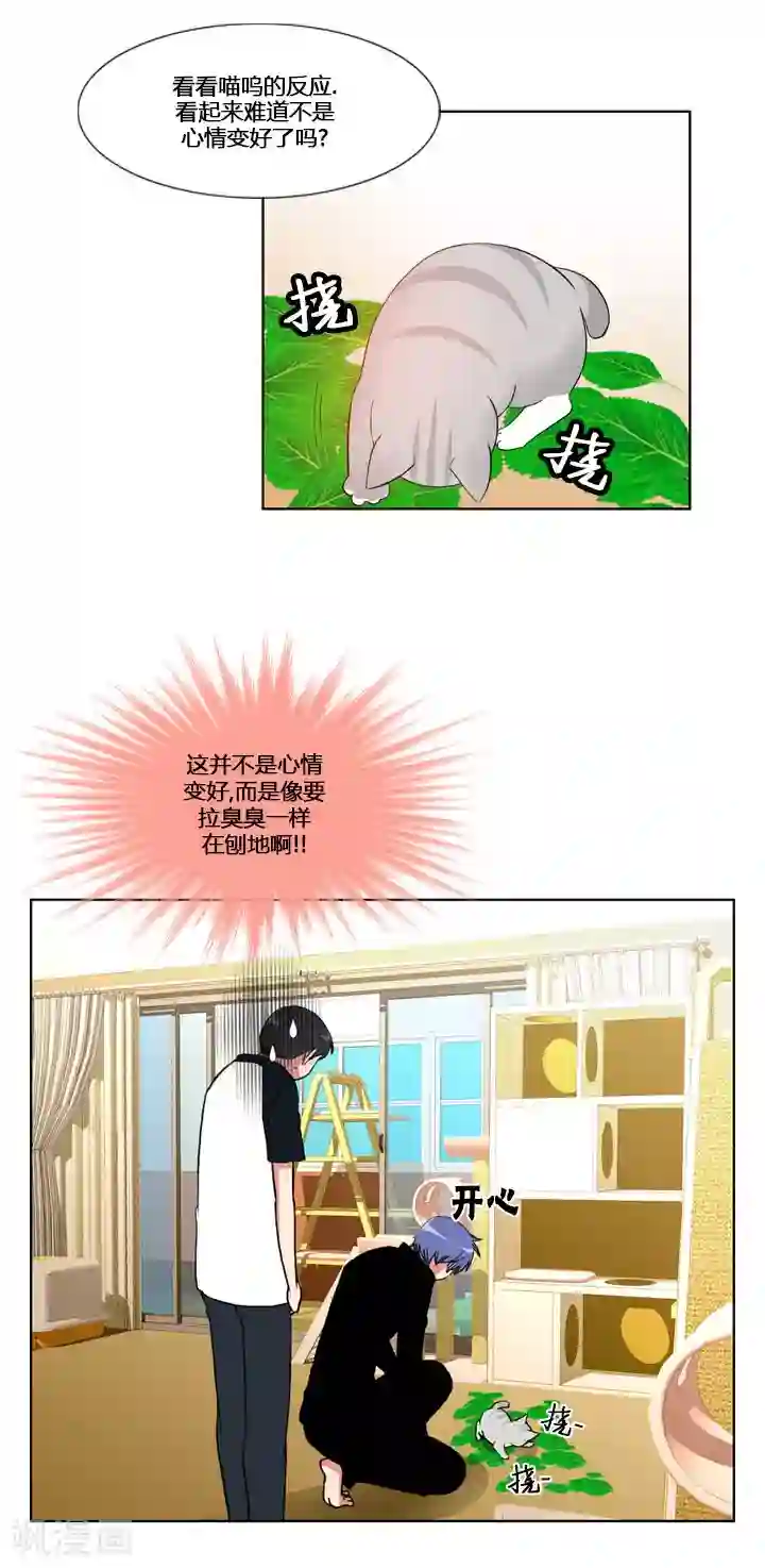 ICE-Cold要员的捡猫事件第53话