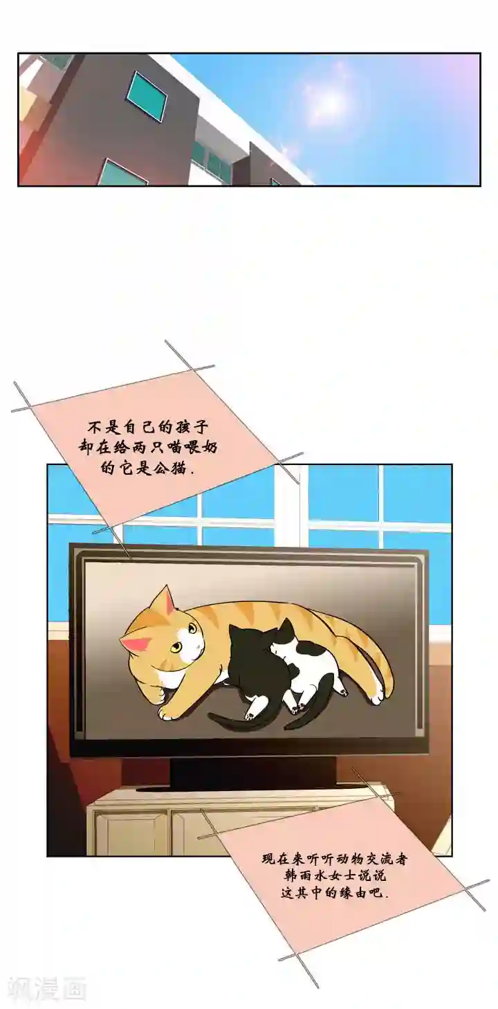 ICE-Cold要员的捡猫事件第53话